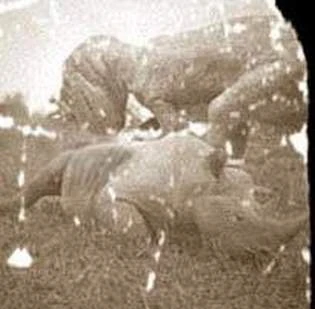 Rare Photos Of Cryptids People Truly Thought Were Real