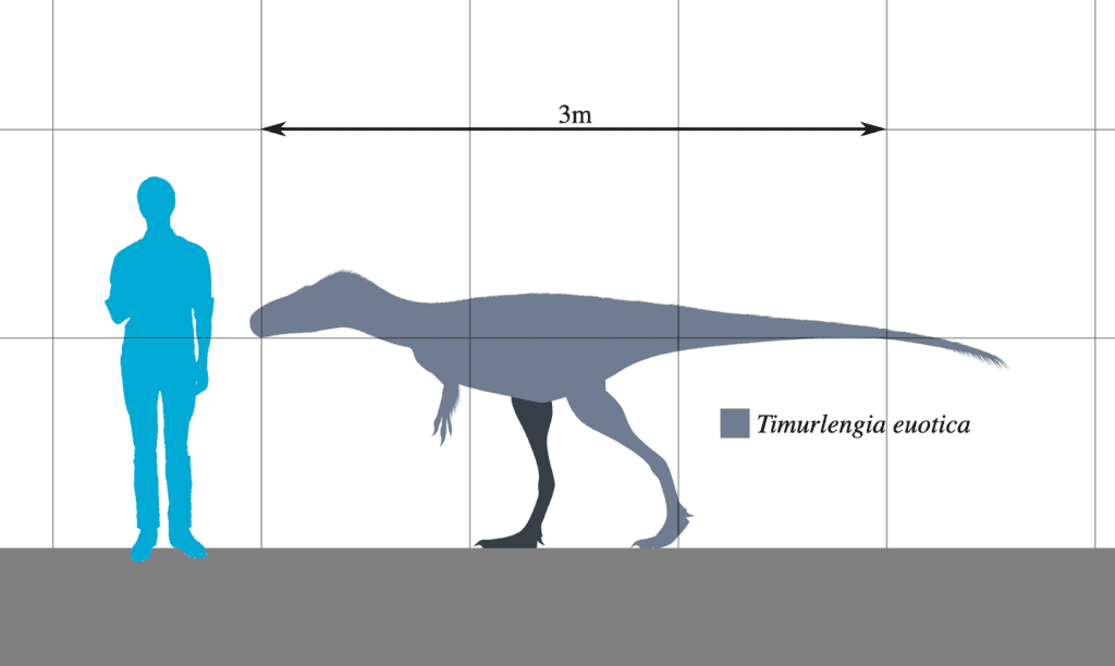 The Groundbreaking Discovery of a Tiny T-Rex in Utah