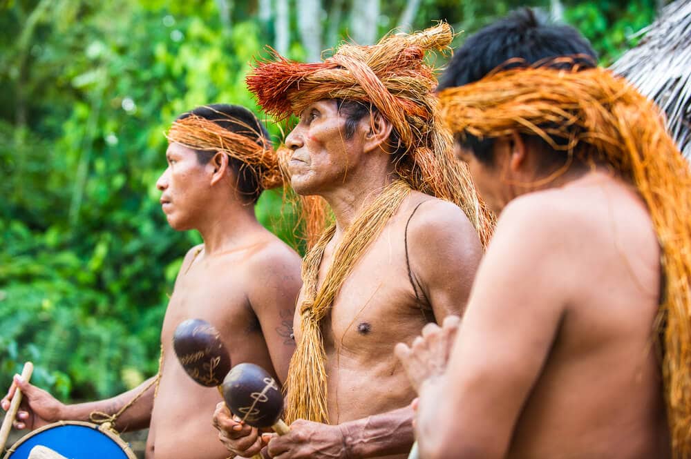 Amazing Creatures Found in the World’s Largest Rainforest