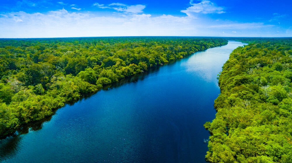 Amazing Creatures Found in the World’s Largest Rainforest