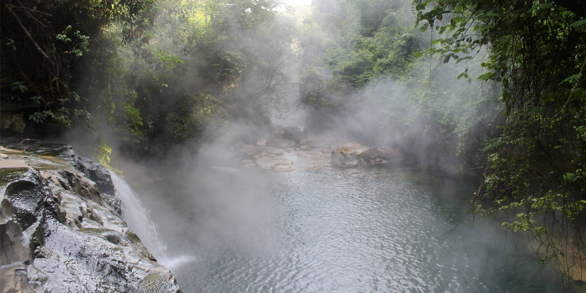 Hidden Secrets Of The Amazon Rainforest