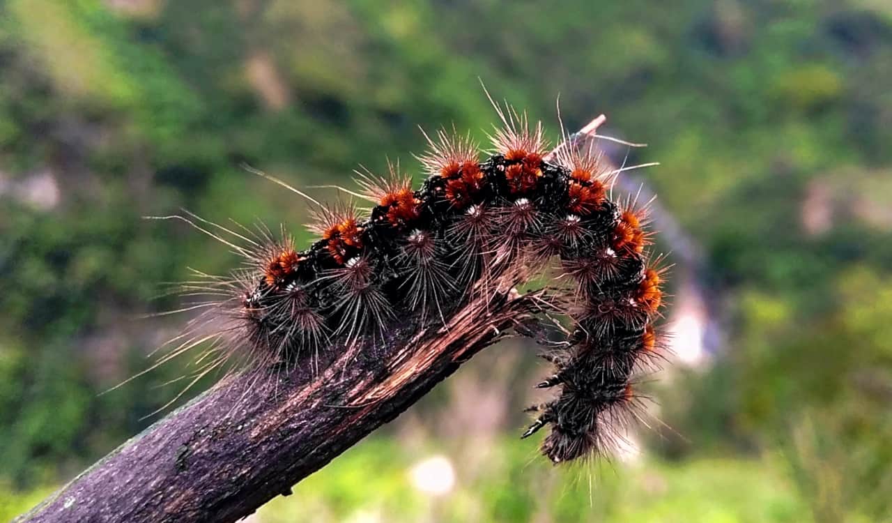 Hidden Secrets Of The Amazon Rainforest