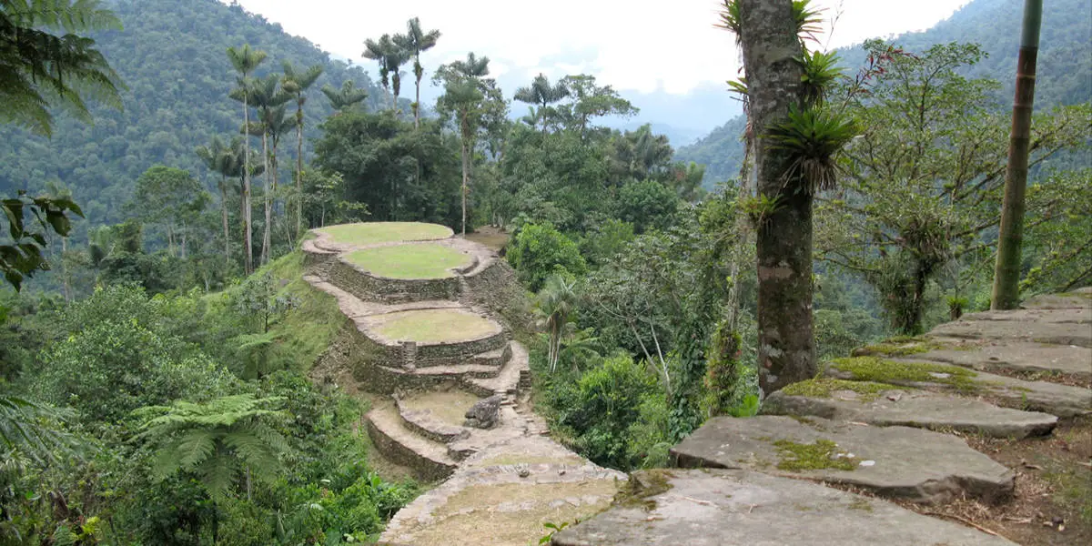 Hidden Secrets Of The Amazon Rainforest