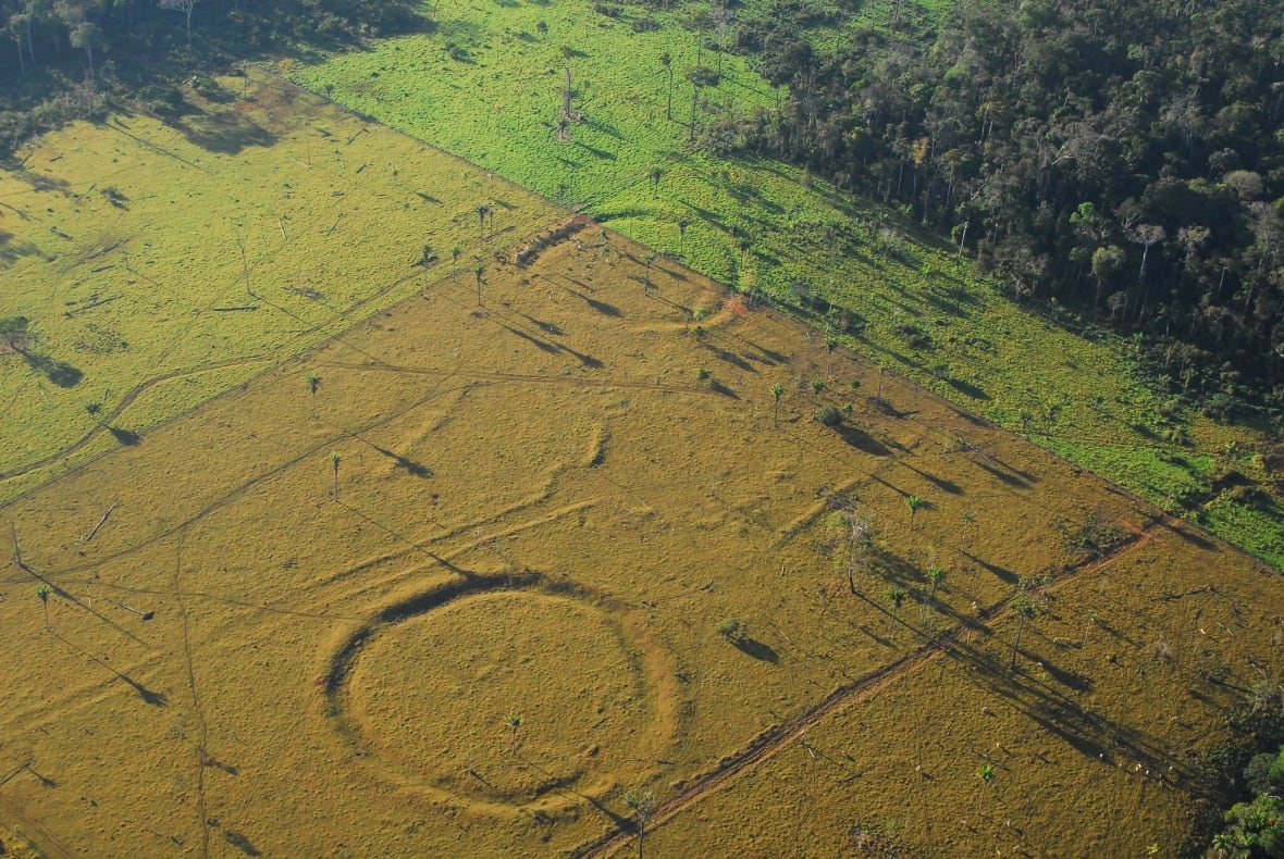 Hidden Secrets Of The Amazon Rainforest