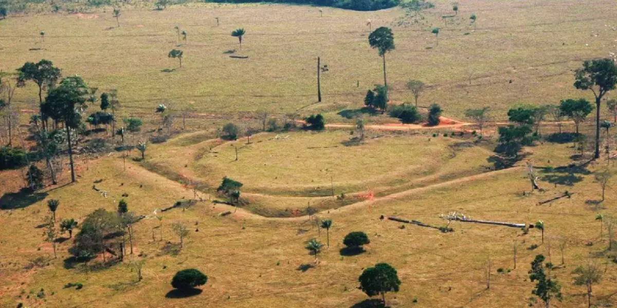 Hidden Secrets Of The Amazon Rainforest