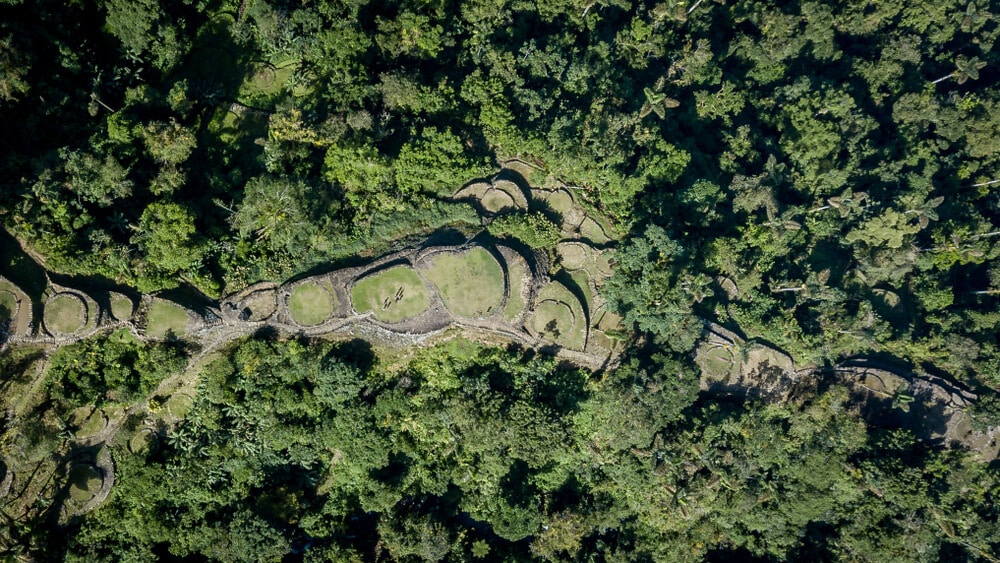 Hidden Secrets Of The Amazon Rainforest