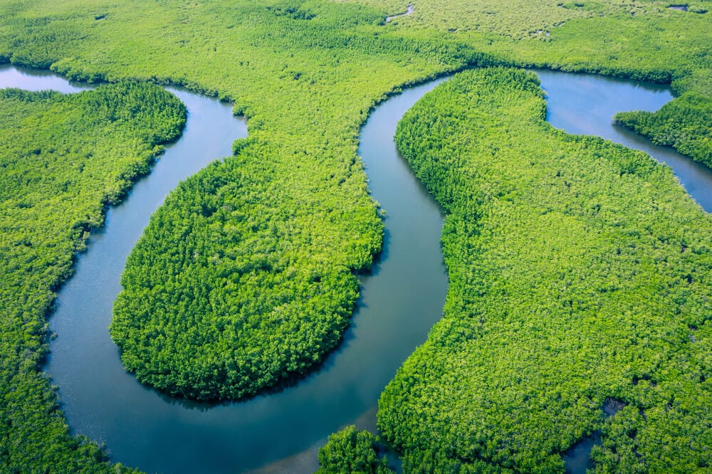 Hidden Secrets Of The Amazon Rainforest