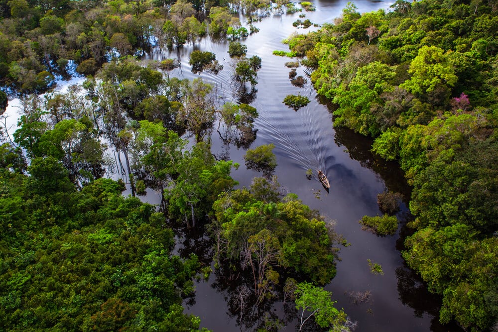 Hidden Secrets Of The Amazon Rainforest