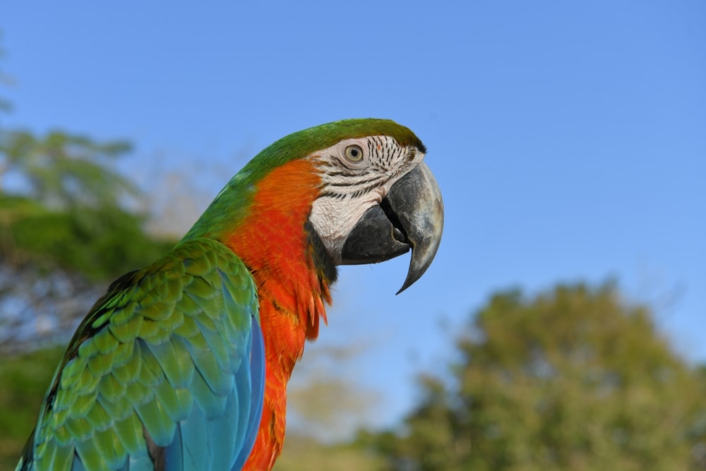 Hidden Secrets Of The Amazon Rainforest