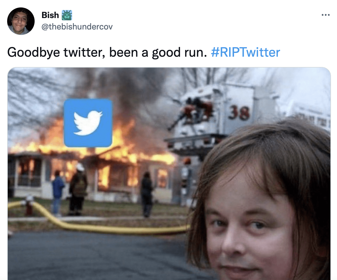 The Internet is Making Fun of How Quickly Elon Musk’s Twitter is Imploding