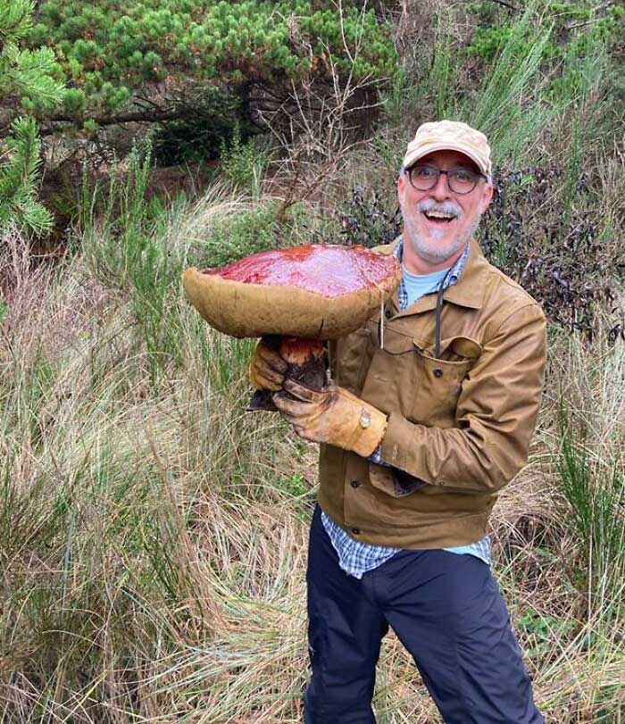 These People Found Mushrooms So Incredible, They Had to Take It to the Internet