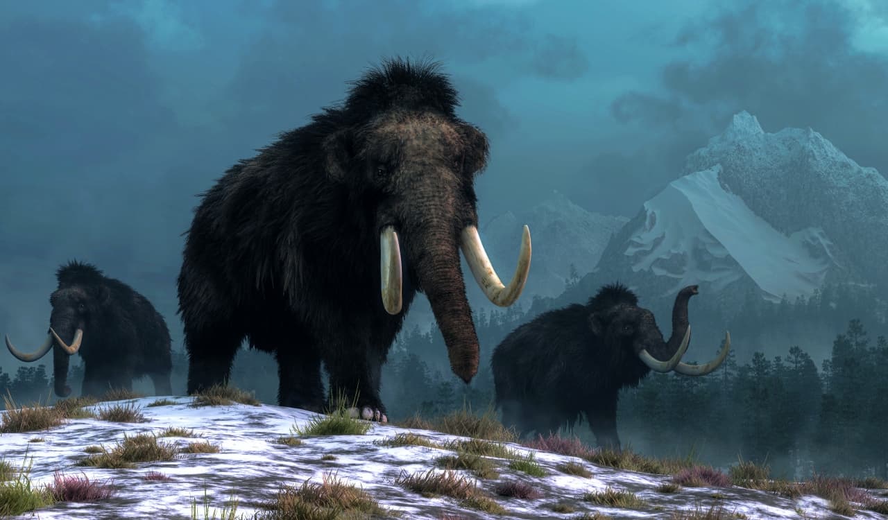 Extinct Animals Science Could Bring Back