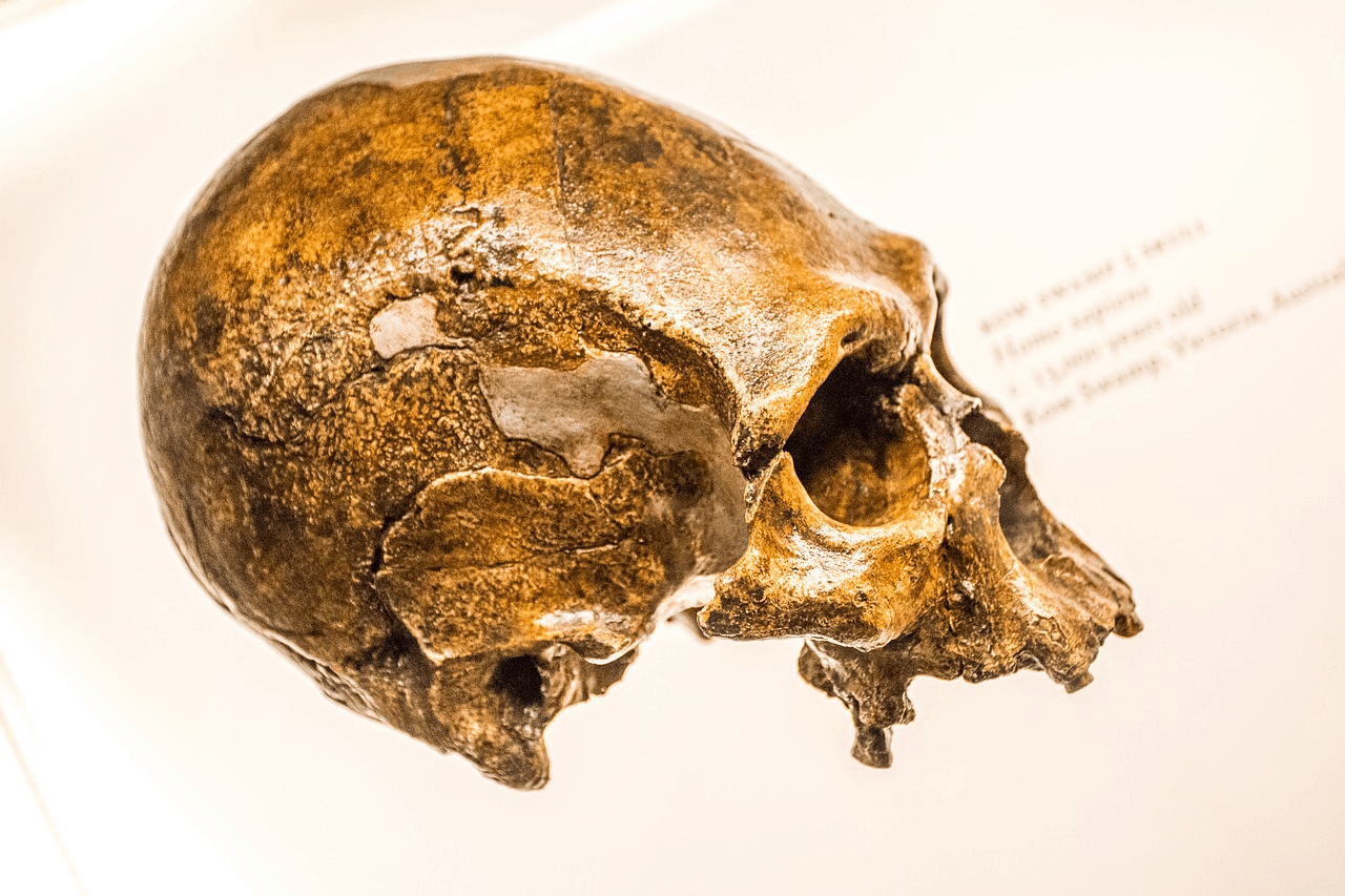 Common Ideas about Neanderthals and Prehistoric Peoples That Aren’t True