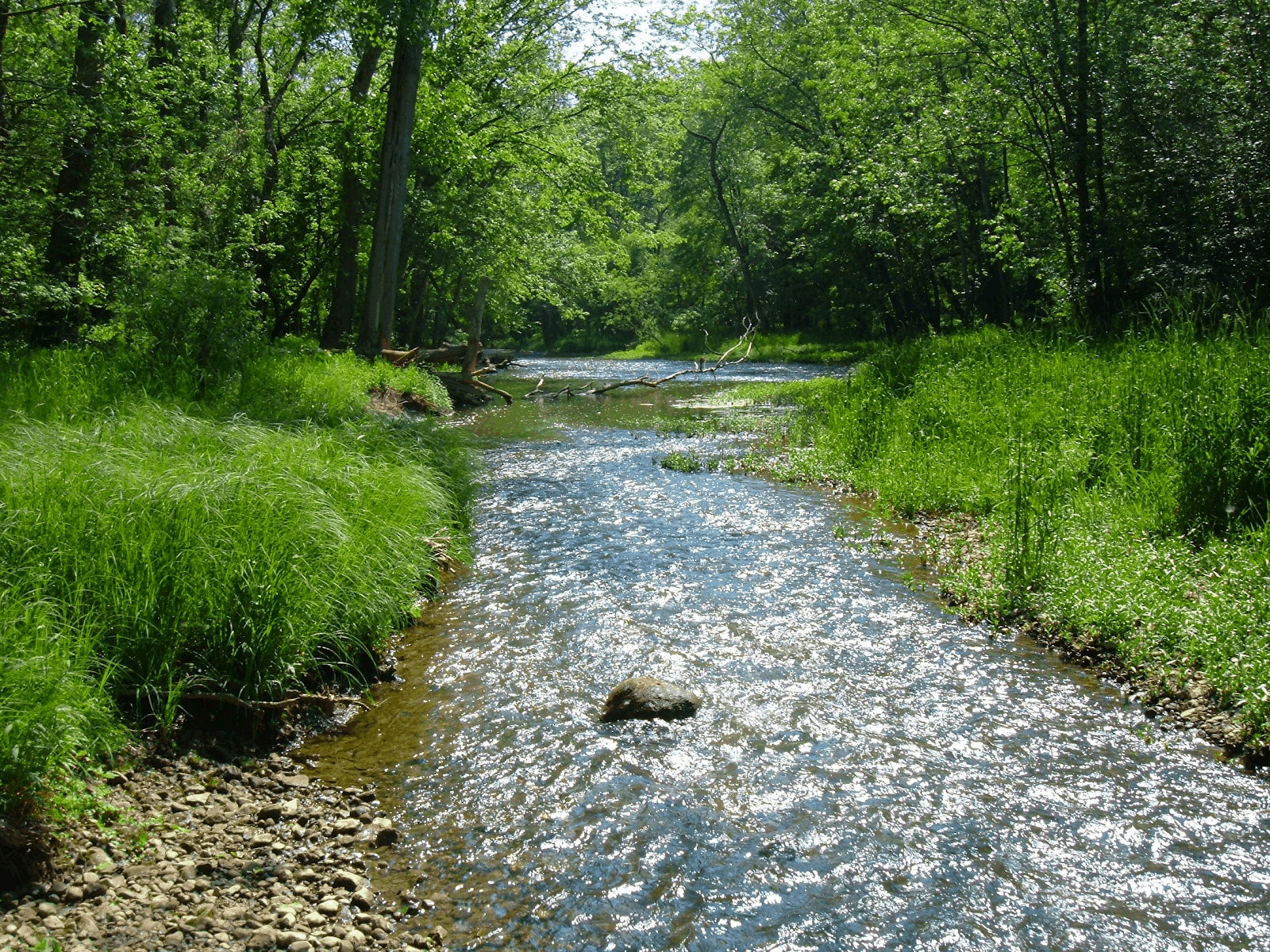 Beautiful US Rivers That Might be at Risk