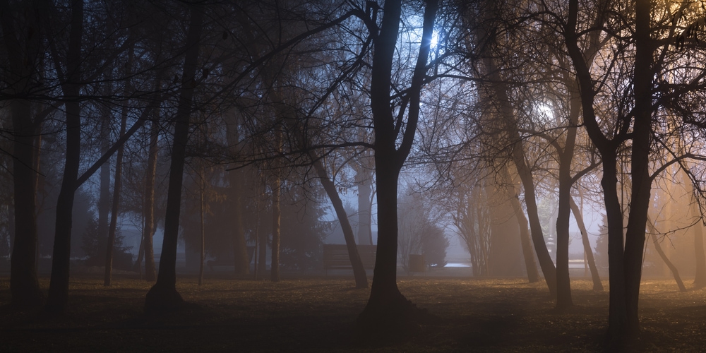 The Most Haunted Universities and Asylums We Want to Steer Clear Of