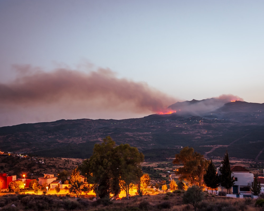 Shocking Photos that Prove Humans Destroy Everything They Touch