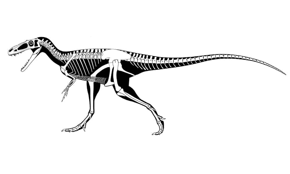 The Groundbreaking Discovery of a Tiny T-Rex in Utah