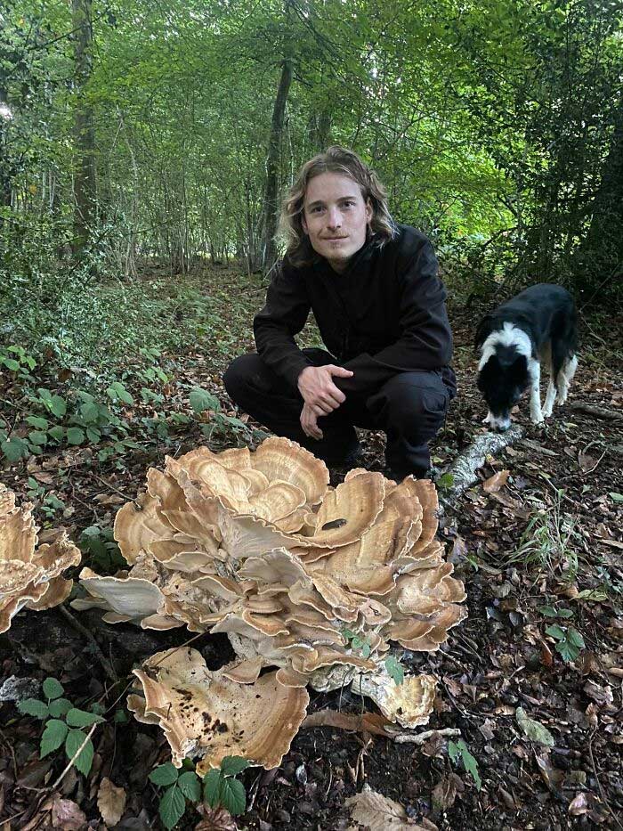 These People Found Mushrooms So Incredible, They Had to Take It to the Internet