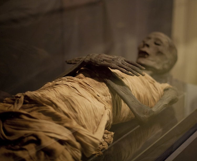 The Science Behind Ancient Egypt’s Mummies