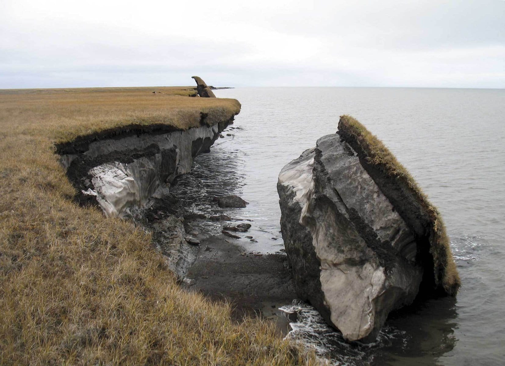 Shocking Photos that Prove Humans Destroy Everything They Touch