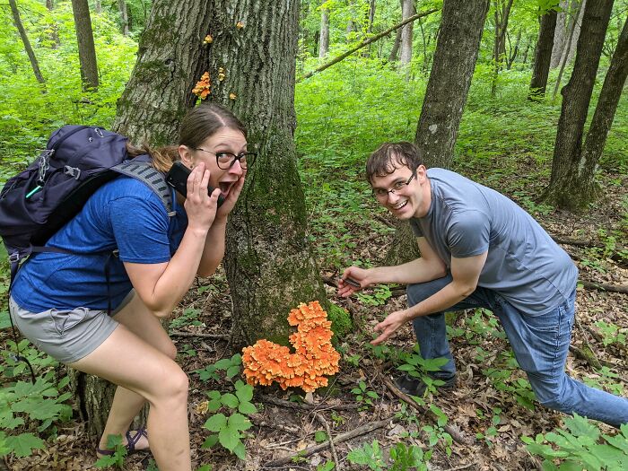 These People Found Mushrooms So Incredible, They Had to Take It to the Internet