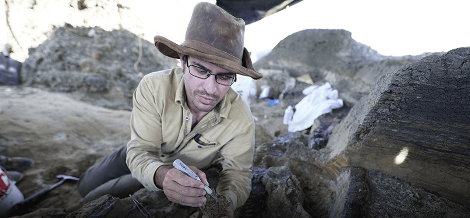 Dinosaur Discoveries That Changed Everything We Thought We Knew