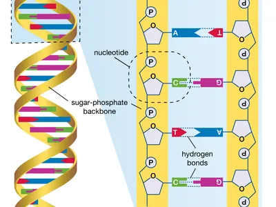 Bad Science From the 1980s We’d Like To Forget