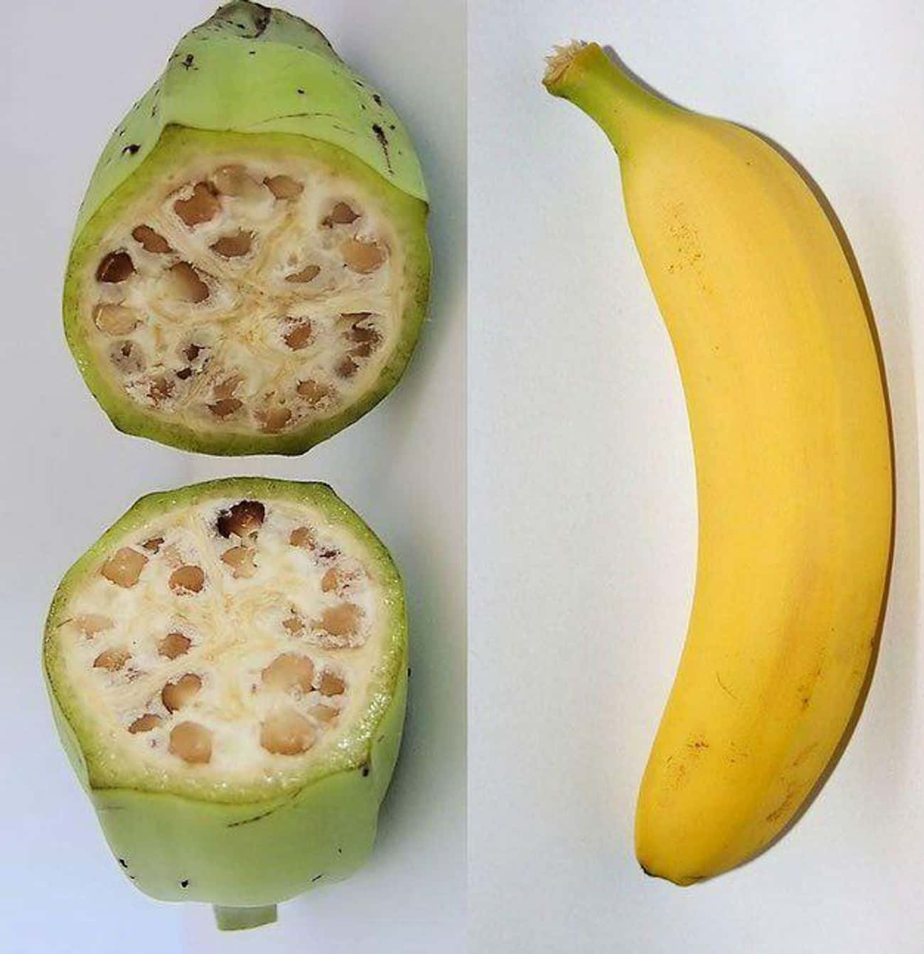 Humans Interfered With Nature And Now This Is What Fruits & Vegetables Look Like