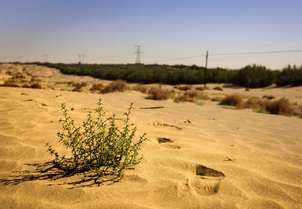 Humans Have Polluted these Places Beyond Recognition