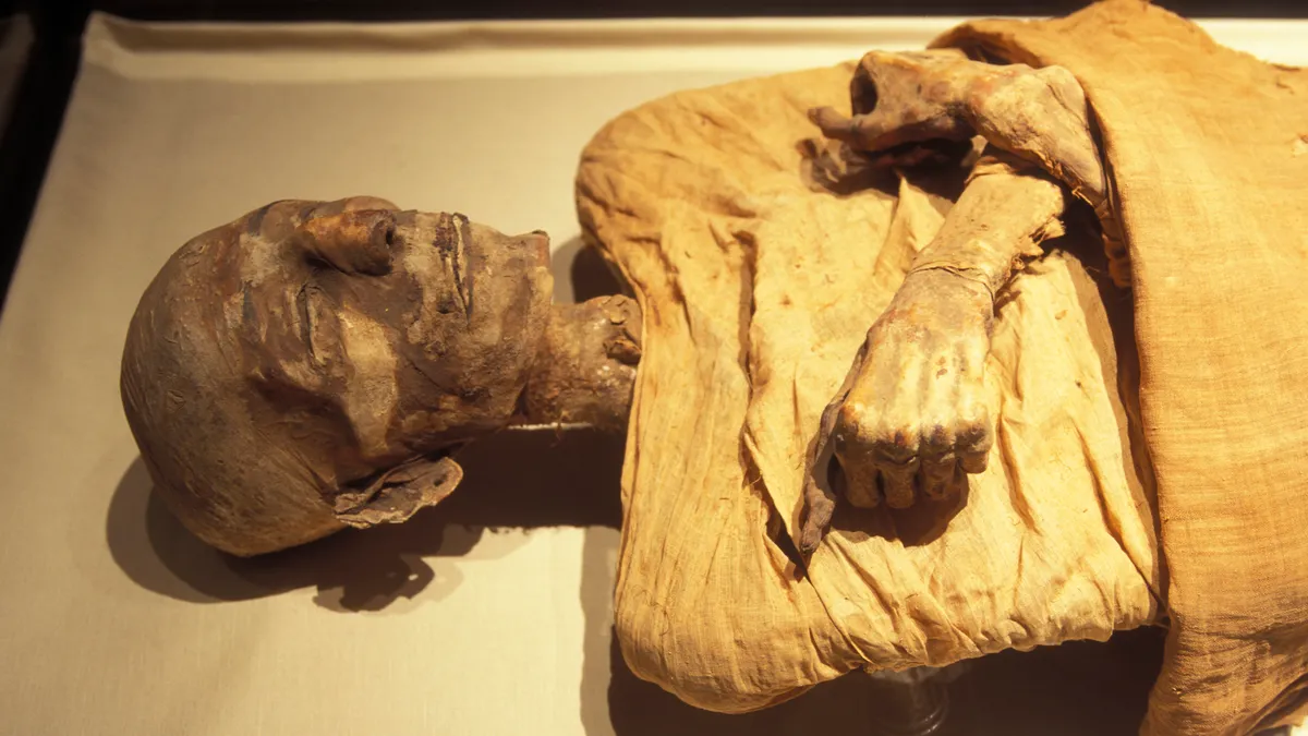 The Science Behind Ancient Egypt’s Mummies