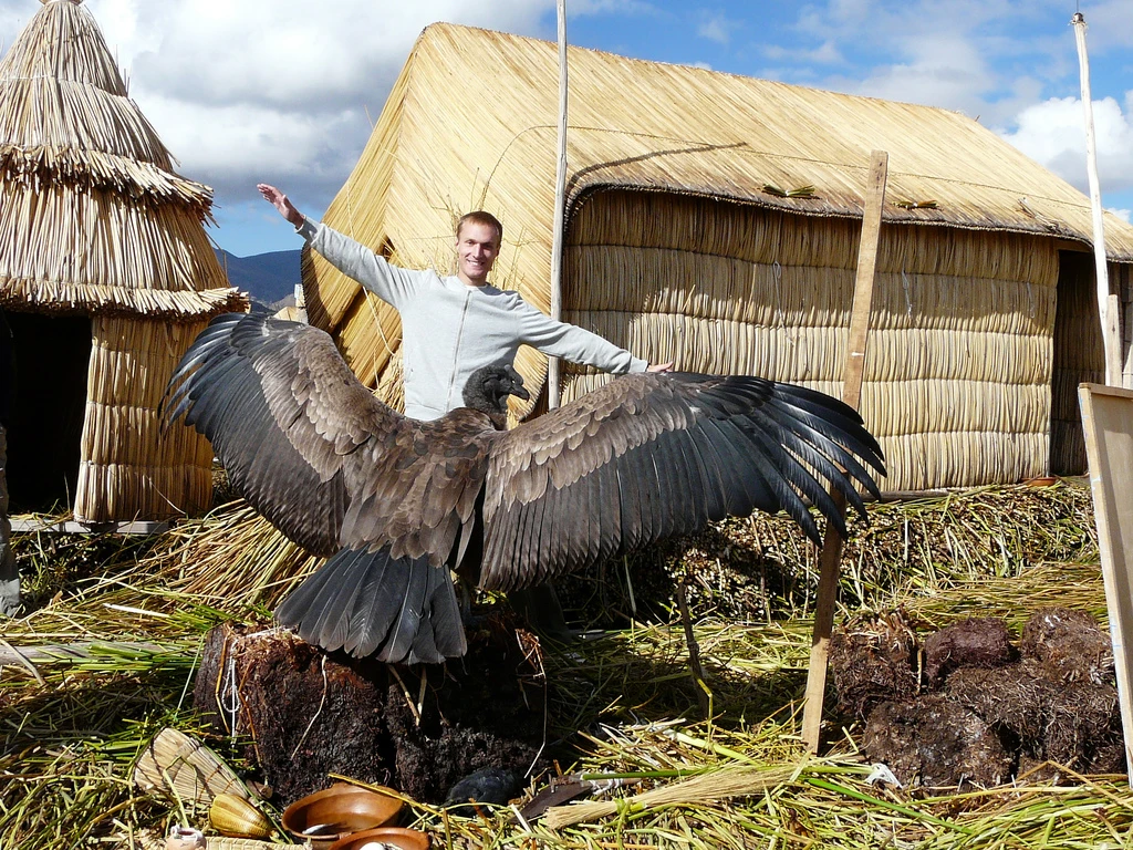 The Most Extreme Birds On The Planet