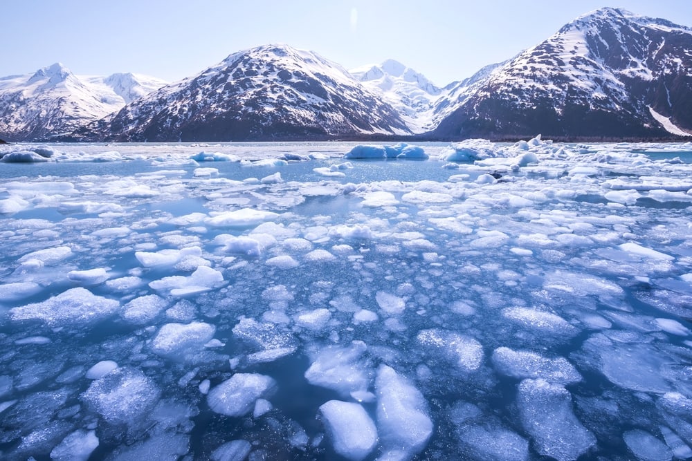 Shocking Photos that Prove Humans Destroy Everything They Touch