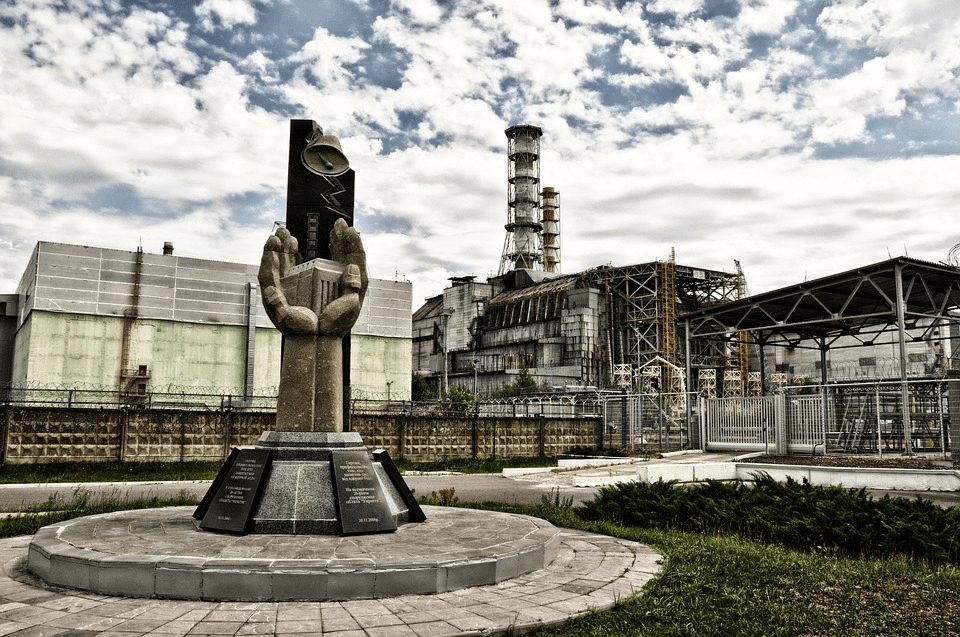 The Dog Descendants Who Survived Chernobyl Can be Adopted