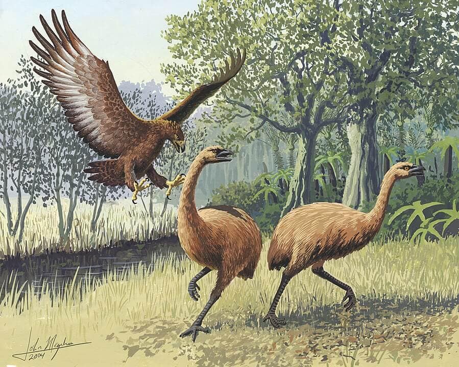 Extinct Animals Science Could Bring Back