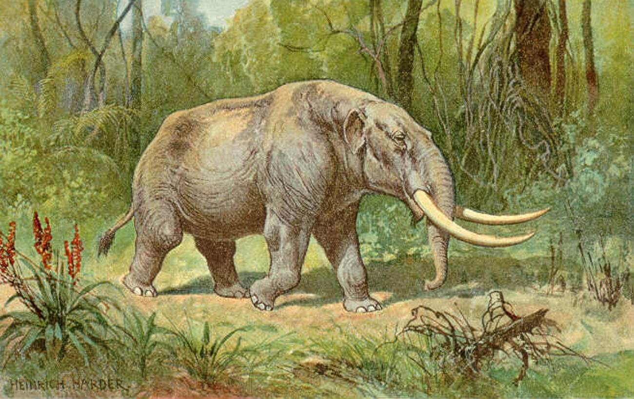 20 Extinct Giants of Prehistoric Times