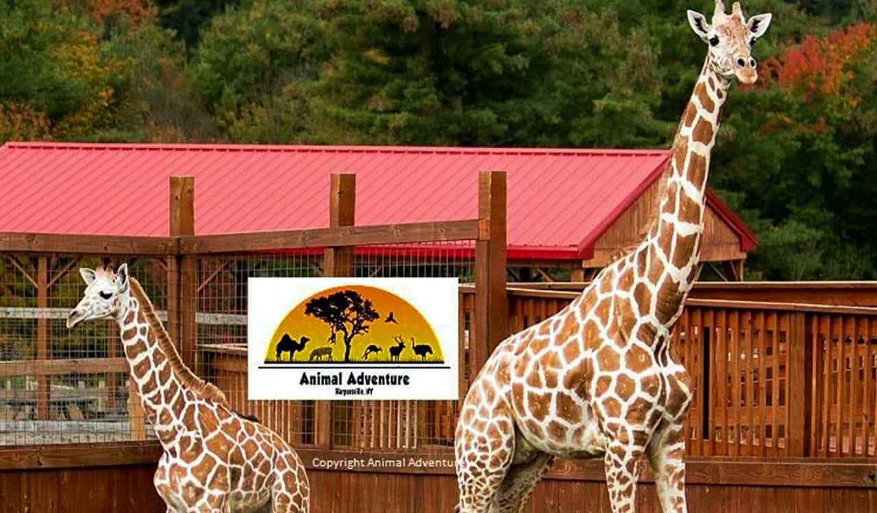 The Worst Things That Ever Happened At Zoos