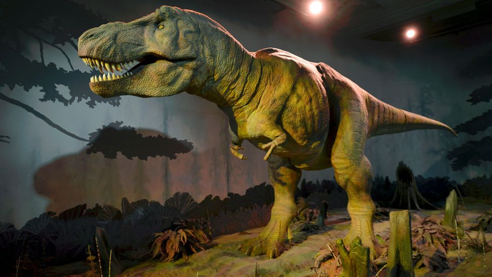 Dinosaur Discoveries That Changed Everything We Thought We Knew