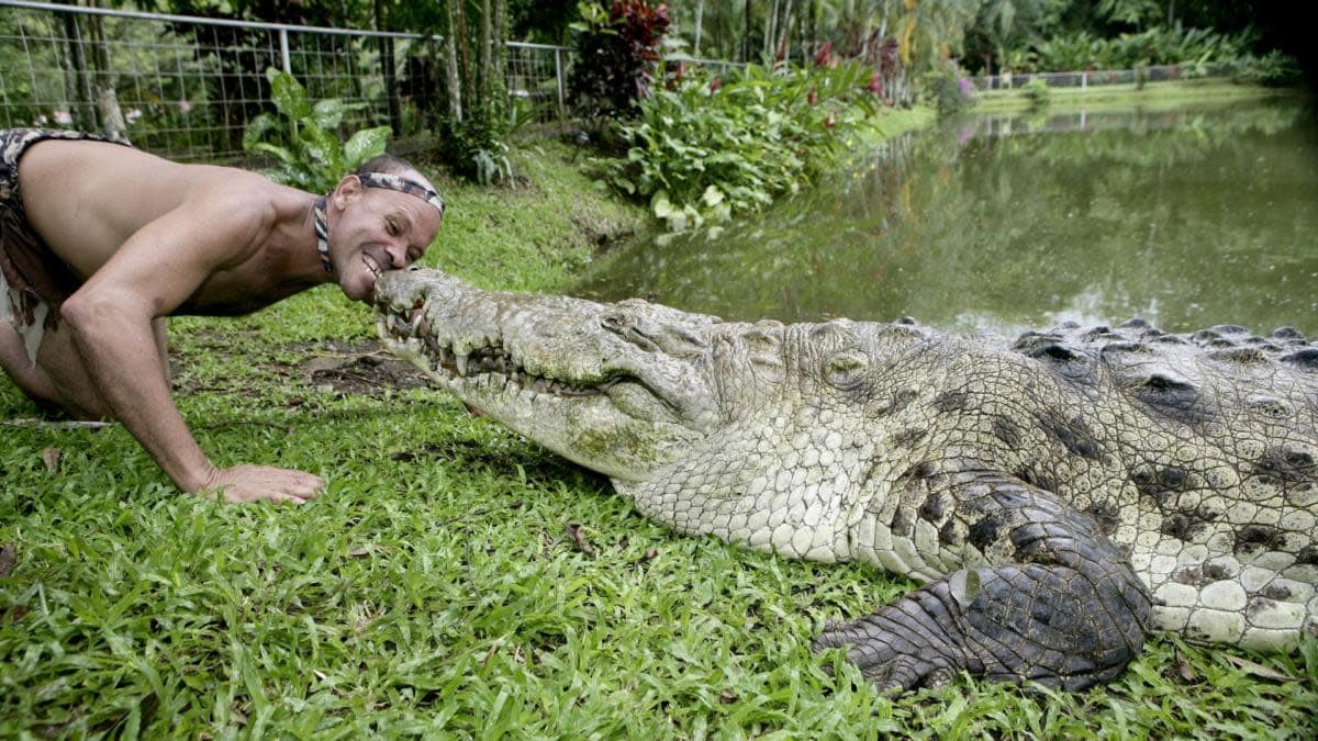 Why Saltwater Crocodiles Are The Scariest Reptile Alive