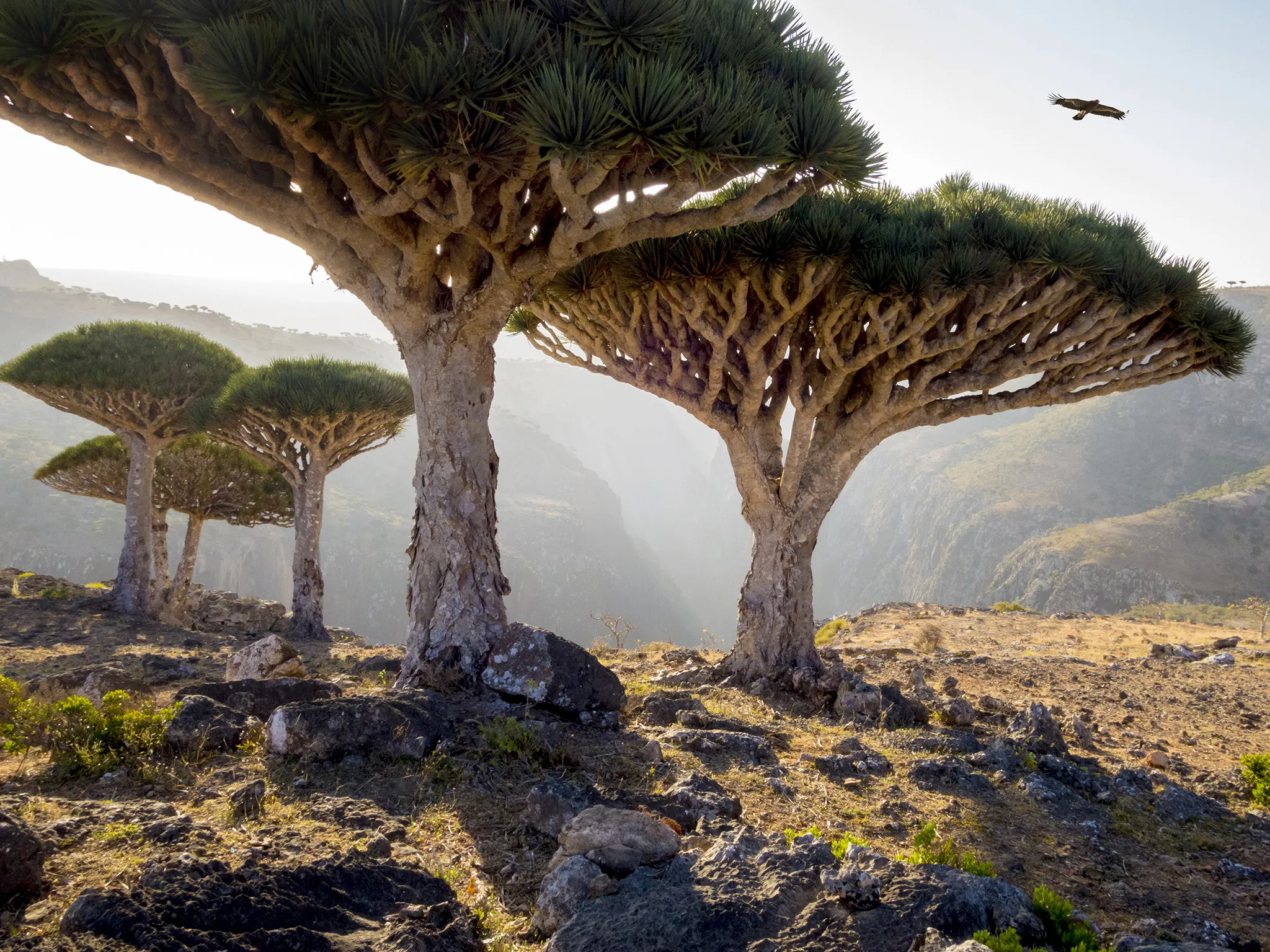 Alien Landscapes on Earth: Unbelievable Photos of Otherworldly Places