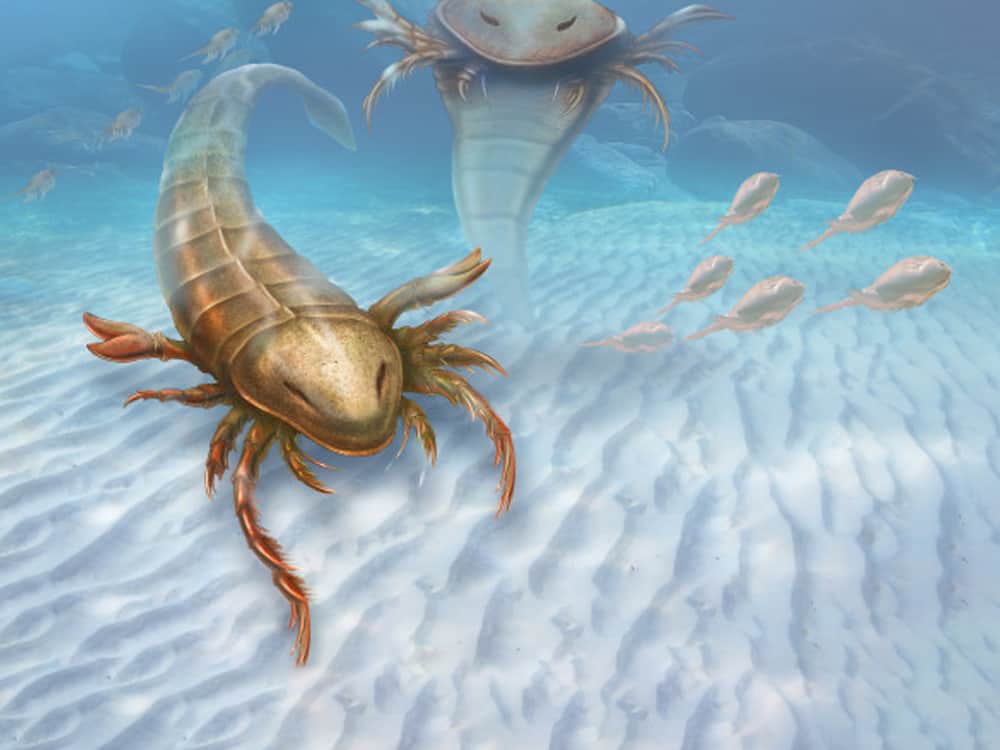 These Threatening Prehistoric Predators Would Wreak Havoc Today