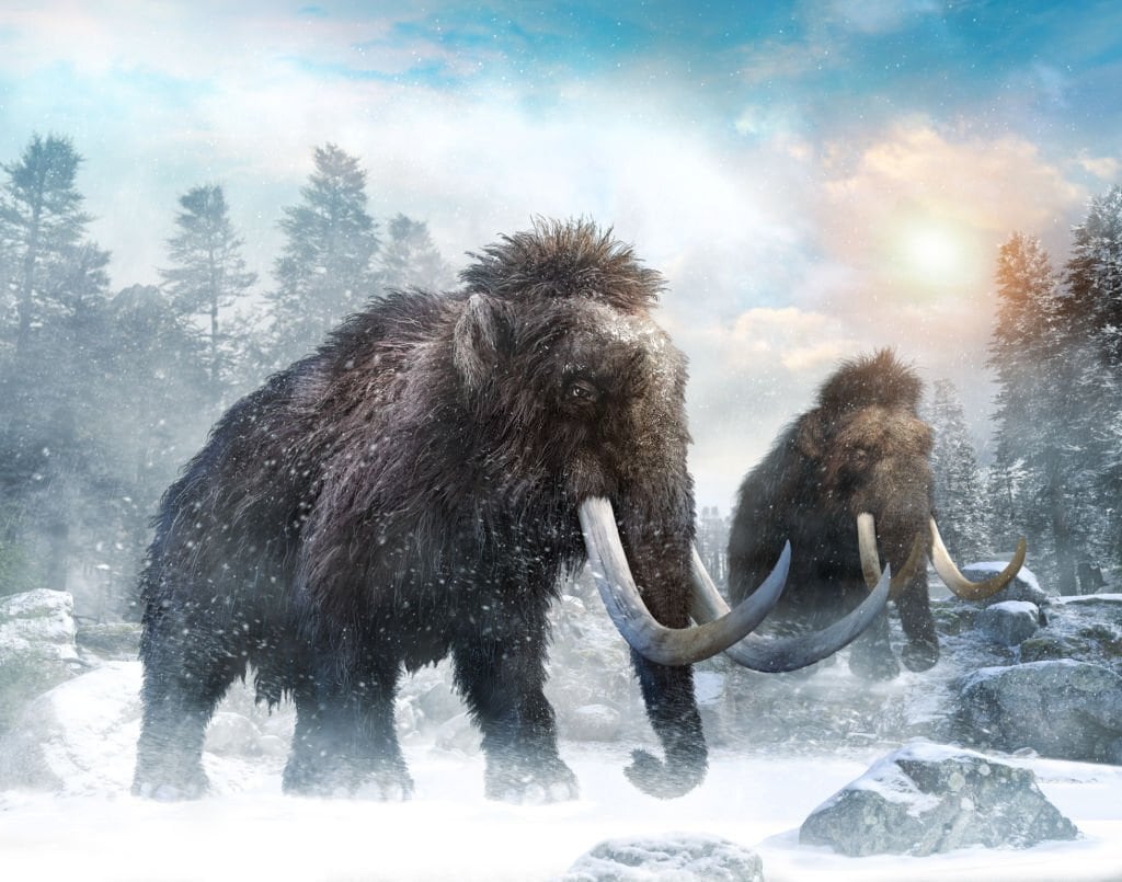 20 Extinct Giants of Prehistoric Times