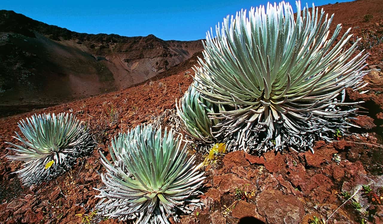 People Found the Most Mind-blowing Photos of Nature and Posted Them