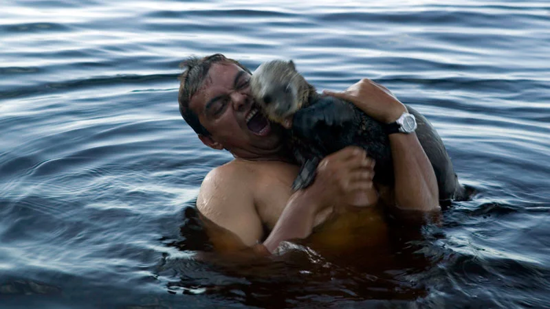 Heartwarming Otter Facts That Will Make Your Day A Little Brighter