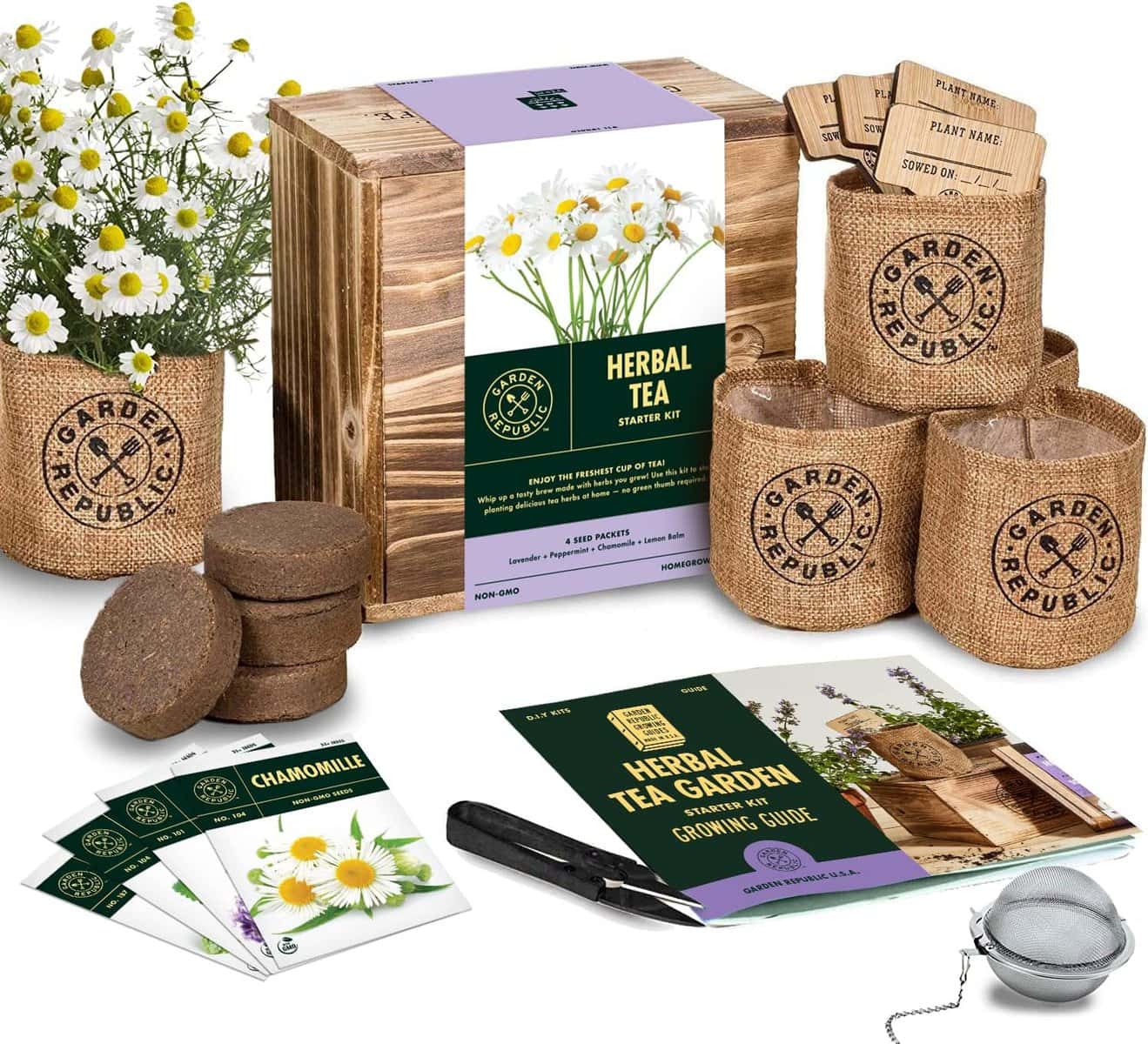 Grow Plants Like a Botanist Thanks to These Gardening Products