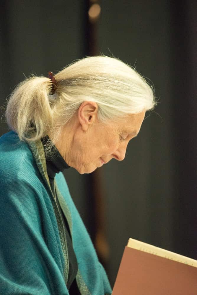 Jane Goodall Exhibit Showcases Her Contributions to Animals and the Earth