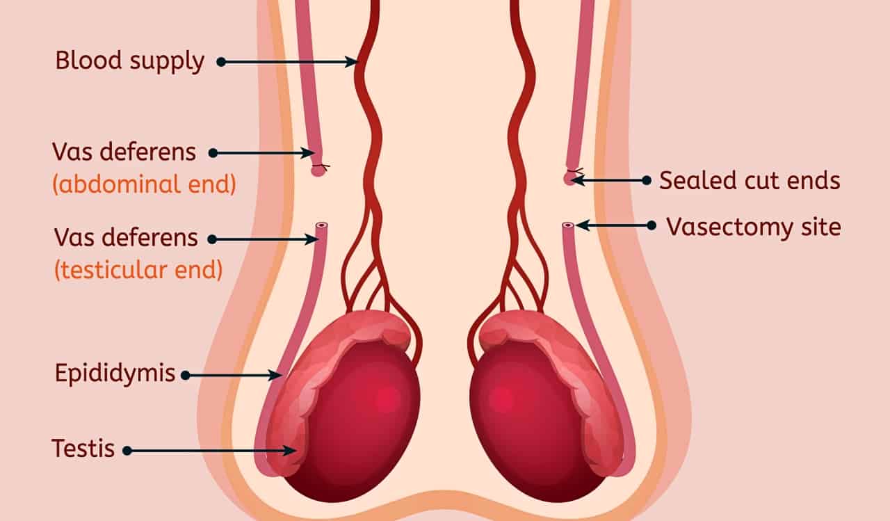 The Most Embarrassing Medical Questions People Want Answers To