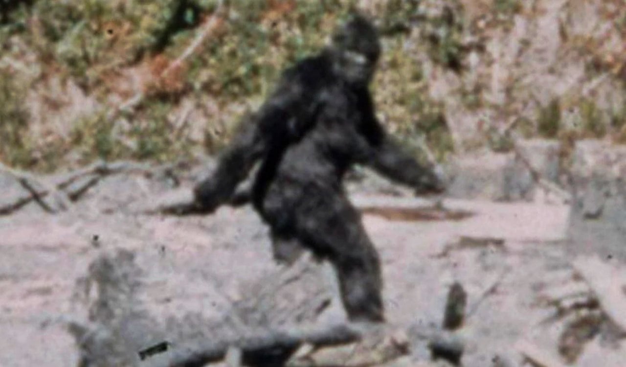 People Share Their Creepiest Encounters With Bigfoot And Other Mythological Monsters