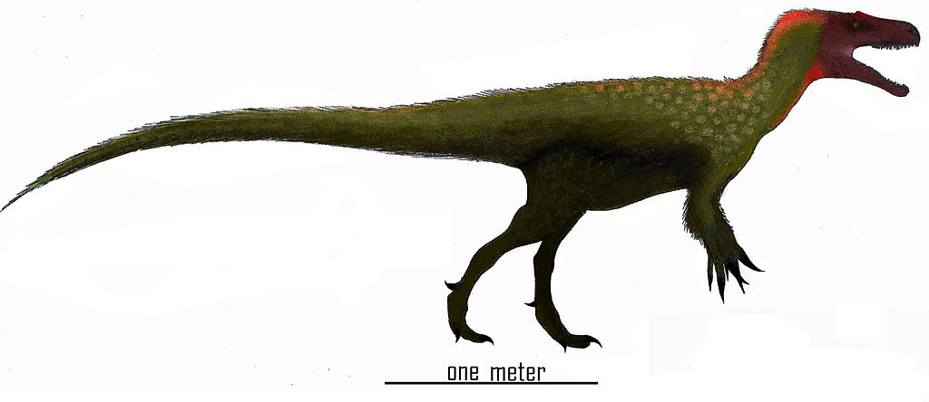 40 Dinosaurs Discovered in North America