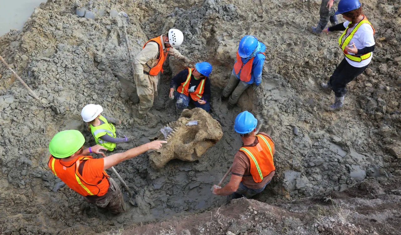 People Who Found Scientific Discoveries In Their Own Backyard