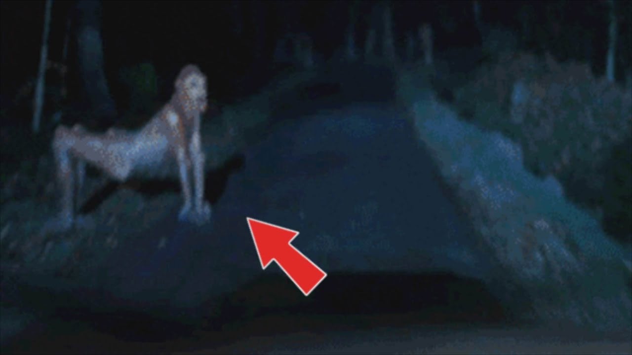 Rare Photos Of Cryptids People Truly Thought Were Real